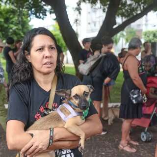  Com cachorros resgatados, ativistas protestam: “animais não têm culpa"