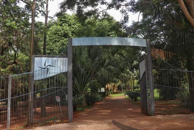 Entre cora&ccedil;&otilde;es verdes no meio da cidade, Pra&ccedil;a Itanhang&aacute; parece lugar abandonado