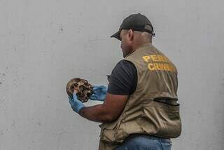 V&acirc;ndalos podem ter tirado cr&acirc;nio de cemit&eacute;rio e jogado na cal&ccedil;ada de escola