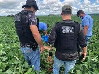 Corpo de Alex foi jogado em meio à plantação de soja. (Foto: Divulgação | PCMS)