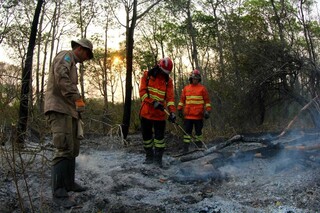 Militares combatem incêndio no Pantanal de Mato Grosso do Sul. (Foto: Divulgação)