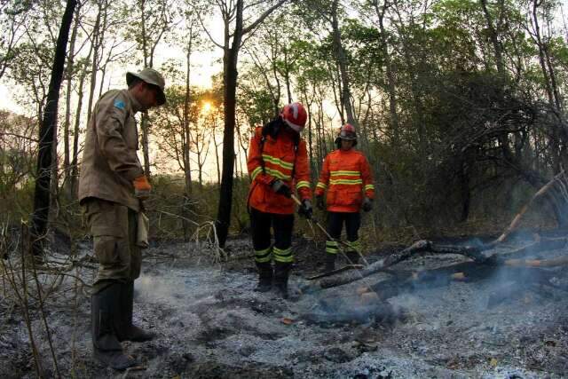 Em 2022, &aacute;rea incendiada reduziu cerca de 5 vezes em Mato Grosso do Sul