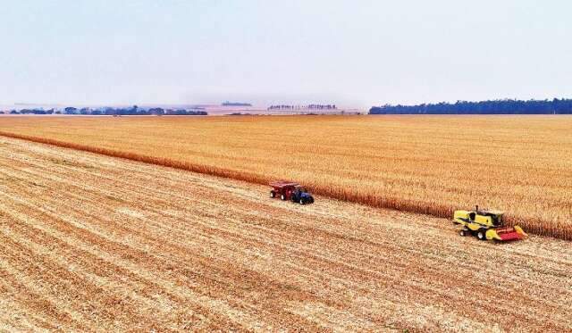 Mato Grosso do Sul foi terceiro estado que mais gerou emprego no agroneg&oacute;cio