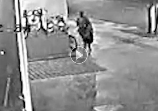 Ladr&atilde;o arromba petshop e sai tranquilo com eletr&ocirc;nicos e dinheiro