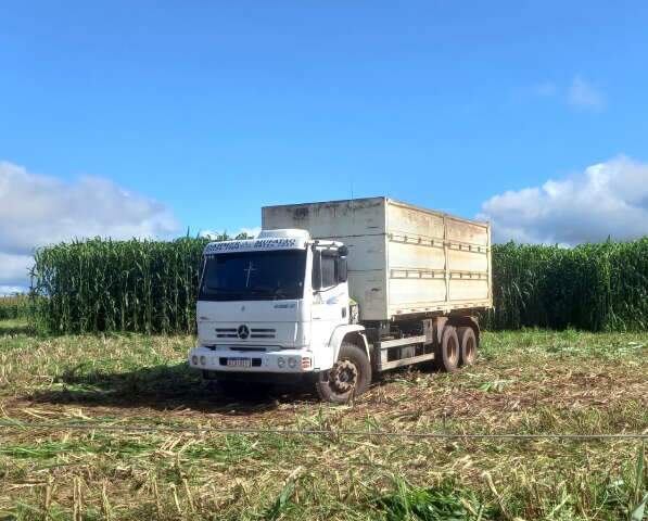 Dia de campo deve reunir 800 produtores de 18 estados em Bandeirantes