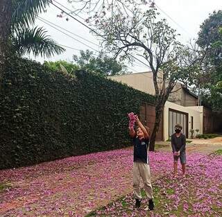 Em 2021 eles na rua tomada pelas flores rosas da àrvore. (Foto: Arquivo pessoal)