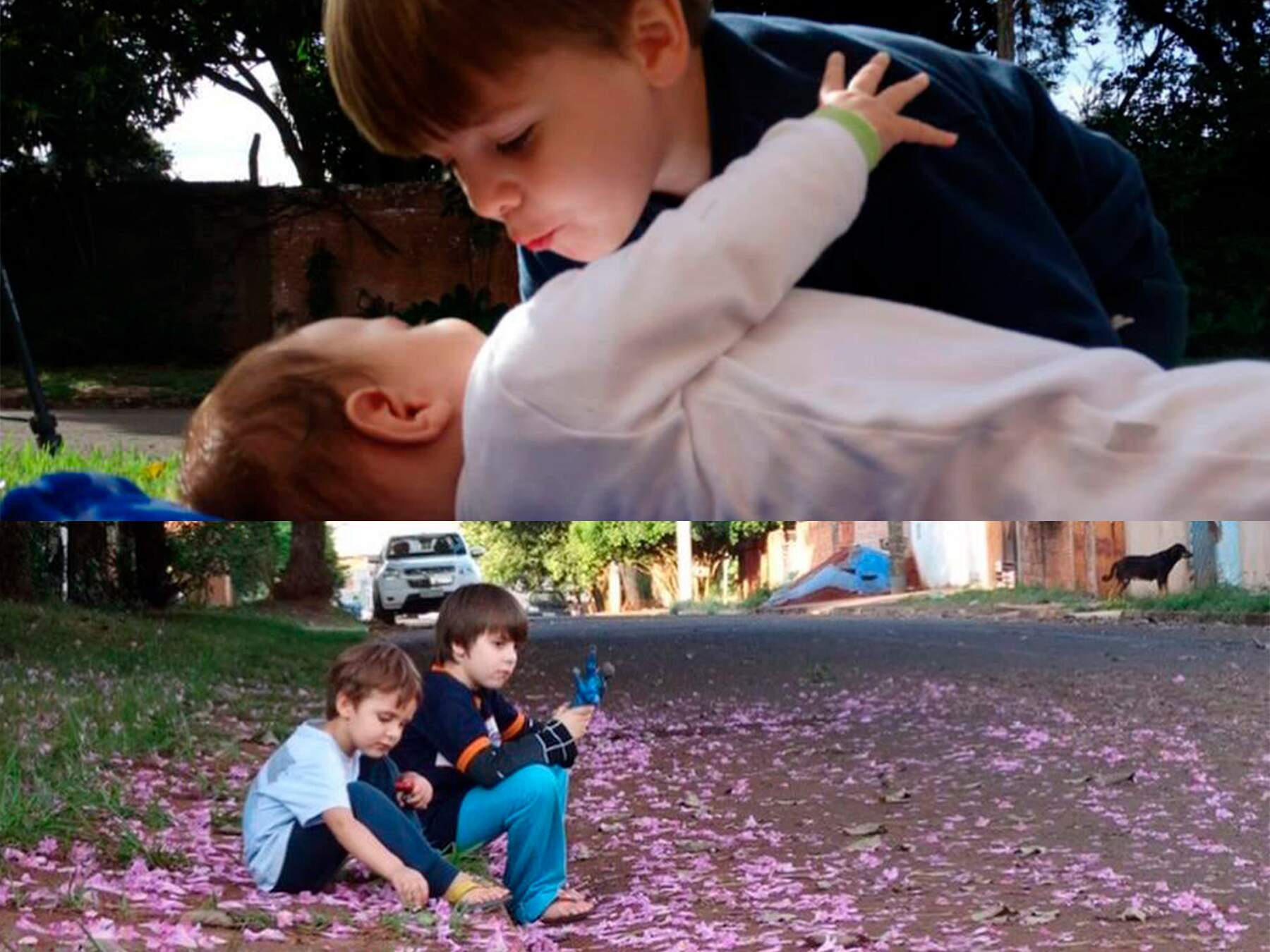 Foto com ipê-rosa é tradição entre irmãos que amam rua onde vivem  