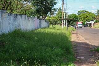 Matagal no entorno do prédio, incômodo também para quem usa ponto de ônibus. (Foto: Henrique Kawaminami)