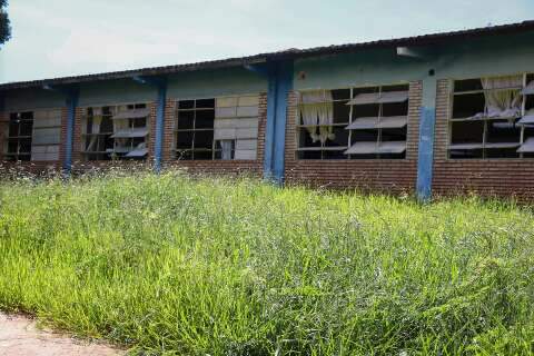 Matagal toma conta at&eacute; de escola vizinha de secretaria municipal 