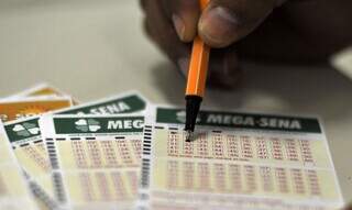 Apostador escolhe números para o sorteio da Mega-Sena. (Foto: Marcelo Casal Jr./Agência Brasil/Arquivo)