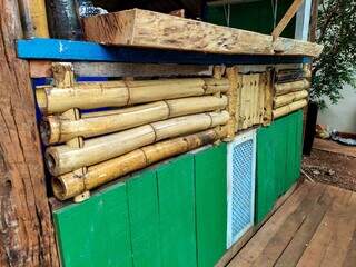 Bambus são diferenciais indicados pelo proprietário. (Foto: Aletheya Alves)