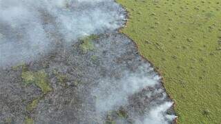 Queimadas no Pantanal no ano passado. (Foto: Divulgação/Corpo de Bombeiros)