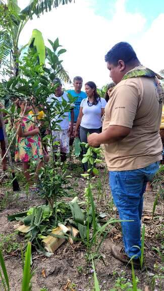 Prestando assessoria ao povo Pataxó, da Bahia, sobre Agrofloresta indígena. (Foto: Arquivo pessoal) 