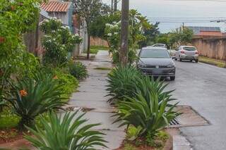 Rua florida no Jardim Radialista, em Campo Grande. (Foto: Marcos Maluf)