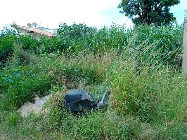 Mato de terreno invade quintal e leva &quot;bichos&quot; para dentro de casas