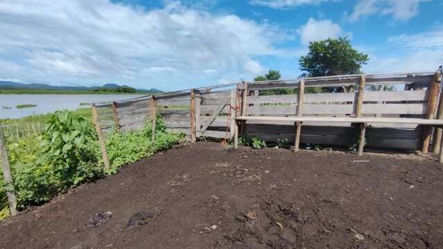 Homem &eacute; multado por destruir &aacute;rea de prote&ccedil;&atilde;o ambiental para cria&ccedil;&atilde;o de gado