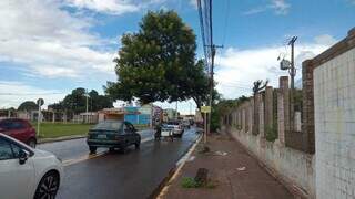 Árvore em frente ao asilo tem destruído a carroceria de vários caminhões que passam na avenida do Tiradentes. (Foto: Direto das Ruas) 