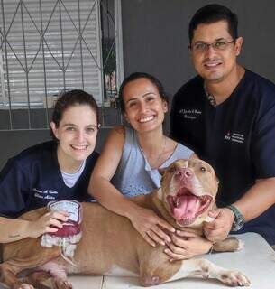 Profissionais do banco do CHV (Centro de Hematologia Veterinária) e cão doador de sangue após coleta (Foto: Divulgação/CHV)