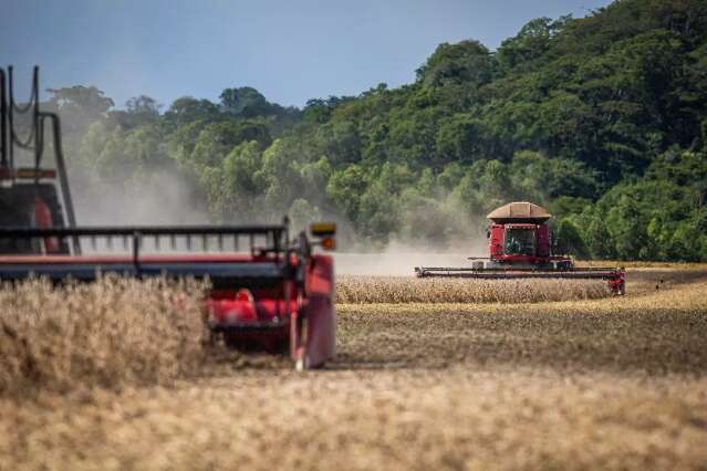 Excesso de chuvas afeta colheita da soja e atrasa plantio do milho