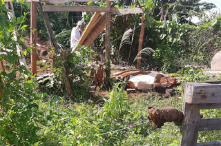 Idoso responsável pelo animal dá uma última olhada no bicho já caído, sem reação. (Foto: Direto das Ruas)