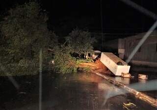 Árvore caída em Nova Andradina após temporal. (Foto: Nova News)