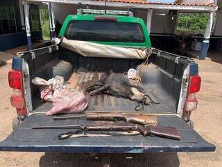Carcaça de animais mortos e dois rifles de calibre 22 sem registro foram apreendidos. (Foto: PMA)