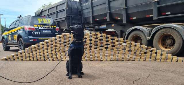 Motorista &eacute; preso com carga de pasta base de coca&iacute;na avaliada em R$ 25 milh&otilde;es