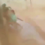 Mulheres arrastadas por rajada de vento foi o vídeo mais visto da semana