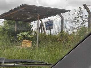 Seu bairro tem muito terreno baldio sem manutenção? Responda a enquete Seu bairro tem muito terreno baldio sem manutenção? Responda a enquete