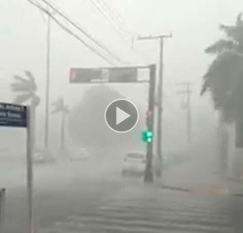 Ventos de 60 km/h derrubam &aacute;rvores gigantescas em Tr&ecirc;s Lagoas