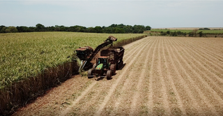 Máquina trabalha na colheita de cana em MS; produção se concentra no Sul do Estado. (Foto: Arquivo/Biosul)