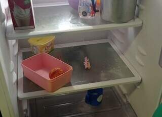 Professora mostra geladeira vazia e diz: &#34;é a mais pura verdade, não tem nada mesmo&#34;. (Foto: Direto das Ruas)