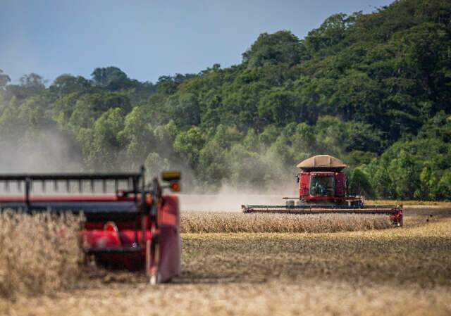 Chuva dá trégua e favorece colheita da soja, que já supera 25% da área em MS