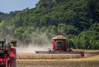 Colheita da soja em Mato Grosso do Sul; atraso causado pelas chuvas vai segurando o plantio do milho. (Foto: Aprosoja-MS)