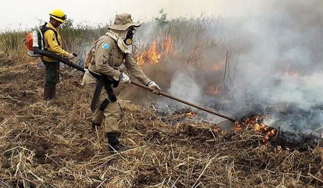 Minist&eacute;rio decreta emerg&ecirc;ncia ambiental em MS de abril a novembro