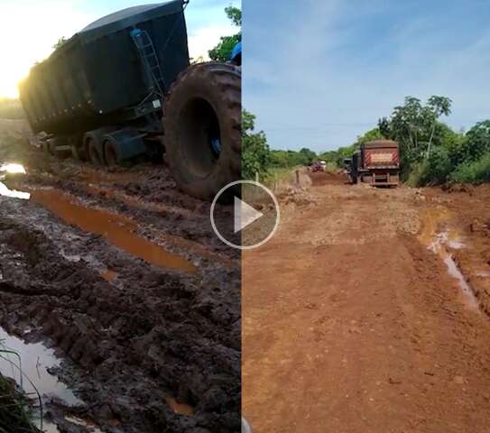 Caminh&otilde;es atolam em estrada e colheita de soja est&aacute; parada h&aacute; 3 dias em Anhandu&iacute;