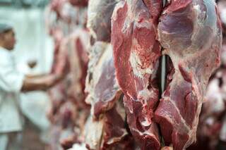 Frigorífico prepara carne para embarque e distribuição; México agora é o novo destino da carne bovina de MS. (Foto: Arquivo/Semadesc)