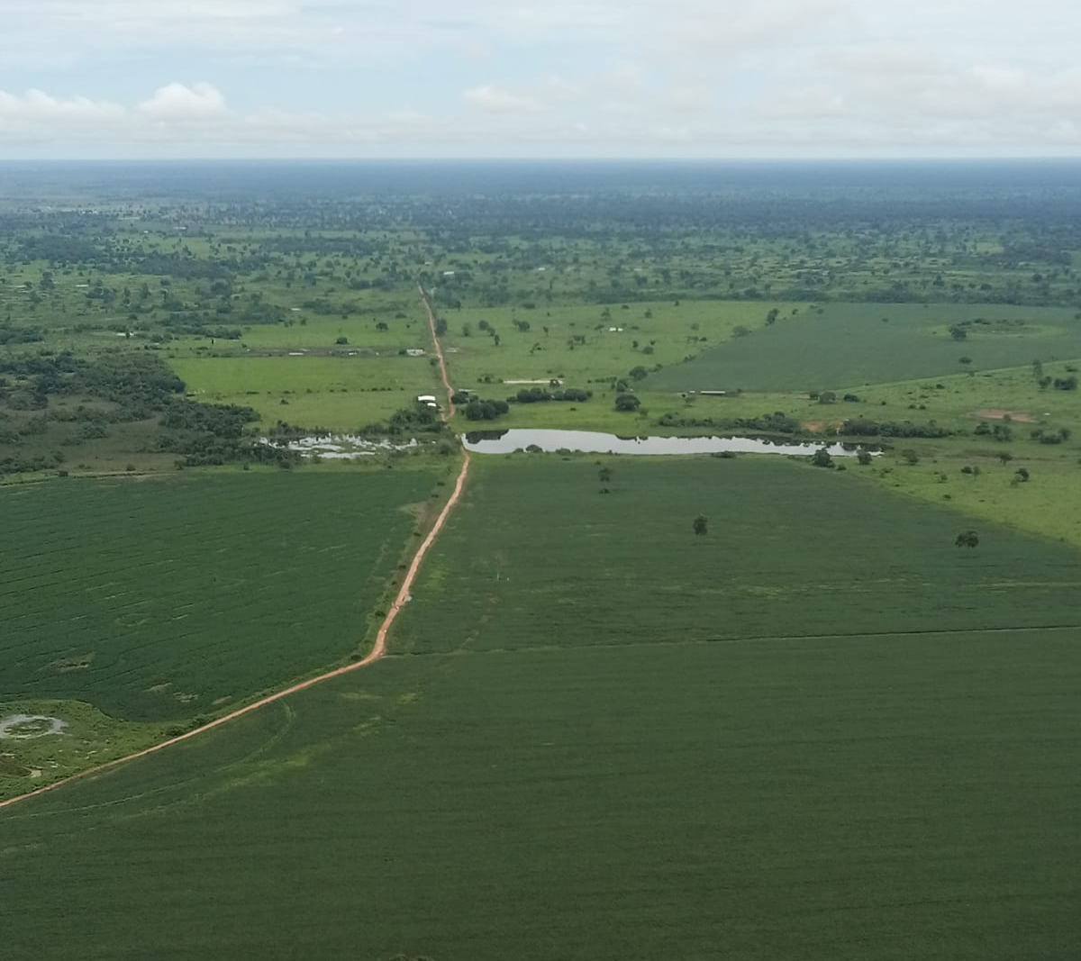 Ambientalistas apontam risco de desequilíbrio no Pantanal