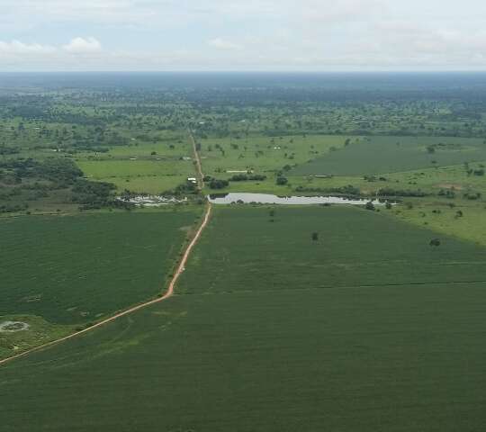 Ambientalistas apontam risco de desequil&iacute;brio no Pantanal