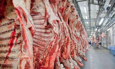 MS tem 5 frigoríficos habilitados para exportar carne bovina para o México