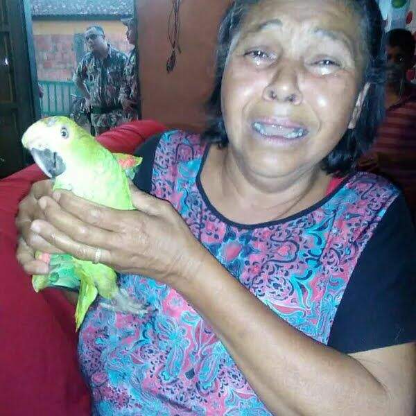 Dona de papagaio que morreu no Cras pede indenização de R$ 80 mil