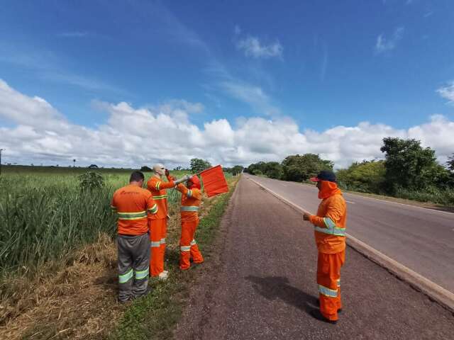 Bonecos de sinaliza&ccedil;&atilde;o s&atilde;o instalados na BR-262 para alertar passagem de animais