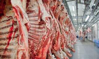 Carcaças de bovinos abatidos em frigorífico brasileiro. (Foto: Arquivo/Abiec)