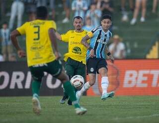 Disputa de bola entre jogadores do Grêmio e Ypiranga, na tarde deste sábado (11). (Foto: Liamara Polli /Grêmio FBPA)