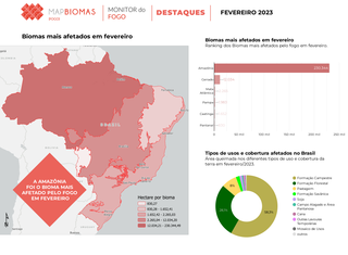 Infográfico do Mapbiomas mostra os biomas mais afetados em fevereiro. (Foto: Reprodução)