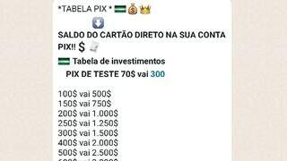 &quot;Voc&ecirc; paga R$ 100 e vai R$ 1,3 mil&quot;: pelo WhatsApp, o novo golpe do ganho f&aacute;cil