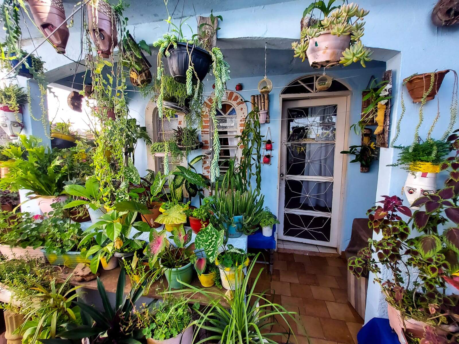 Na casa oficial da dona Felicidade, plantas revelam ‘segredo’ do amor