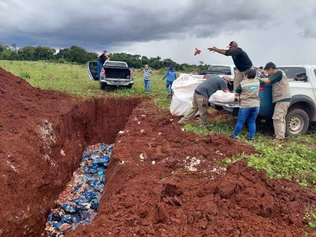 For&ccedil;a-tarefa enterra uma tonelada e meia de carne impr&oacute;pria para consumo