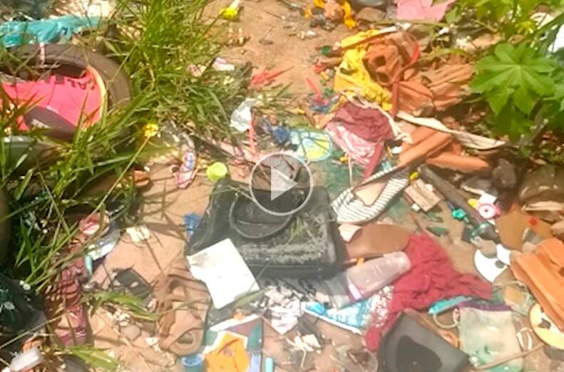 De móveis a animais mortos, lixo em terrenos baldios polui bairro