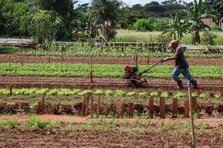 Processo de manutenção da terra sendo feito para evitar mais danos. (Foto: Henrique Kawaminami)